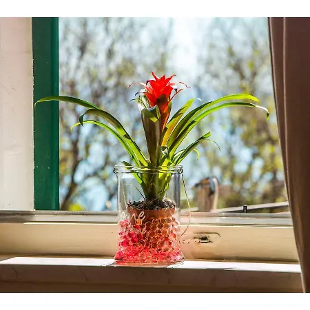 Апартаменти Viktoria Спліт