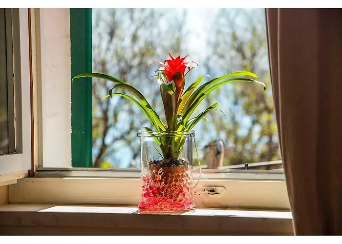 Apartment Viktoria Split